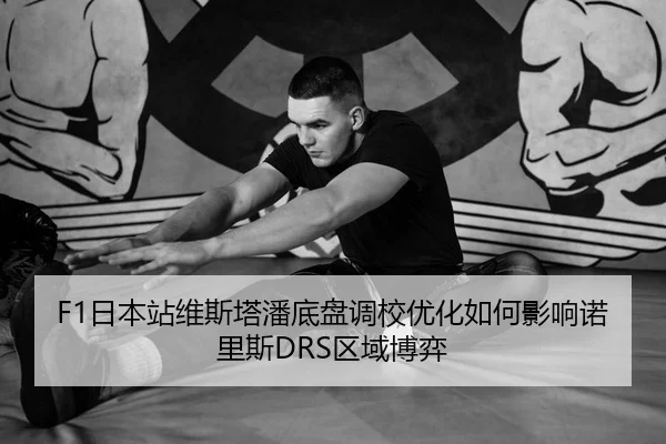 F1日本站维斯塔潘底盘调校优化如何影响诺里斯DRS区域博弈
