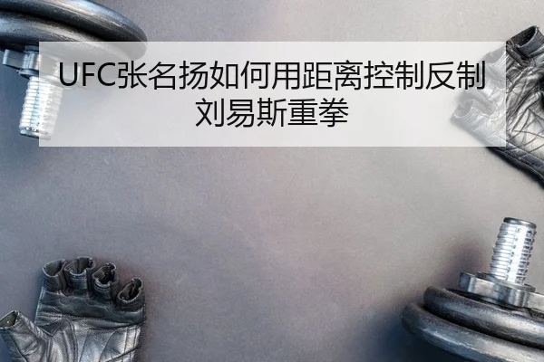 UFC张名扬如何用距离控制反制刘易斯重拳